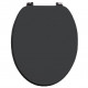 Iona Matt Grey Wooden Soft Close Toilet Seat