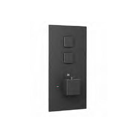 Eastbrook Smooth Black Square Concealed Thermostatic Double Push Button Shower Valve