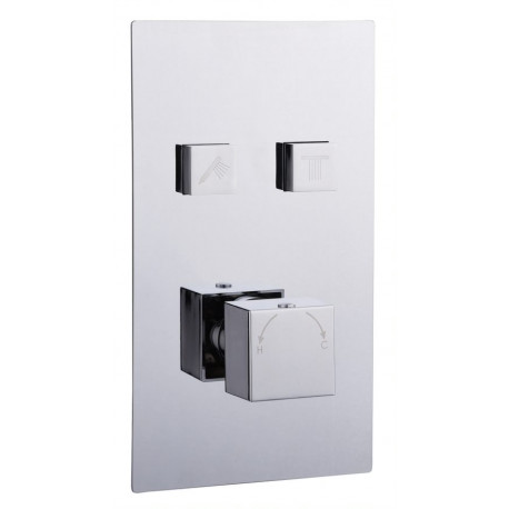 Tailored Thermostatic Square Concealed 2 Outlet Push Button Shower Valve