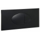 Iona Large Black Dual Flush Plate & Access Panel
