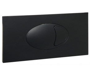 Iona Large Black Dual Flush Plate & Access Panel