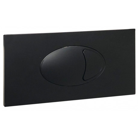 Iona Large Black Dual Flush Plate & Access Panel