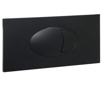Iona Large Black Dual Flush Plate & Access Panel 240mm x 120mm