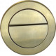 Tailored Brushed Brass Concealed Cistern Button