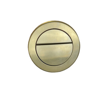 Tailored Brushed Brass Concealed Cistern Button