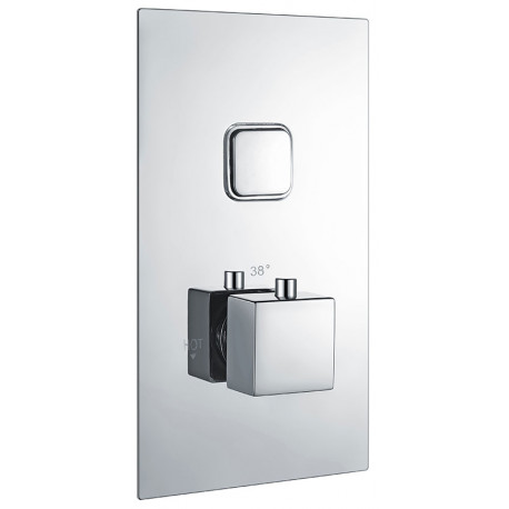 Eastbrook Square Concealed Thermostatic Single Push Button Shower Valve