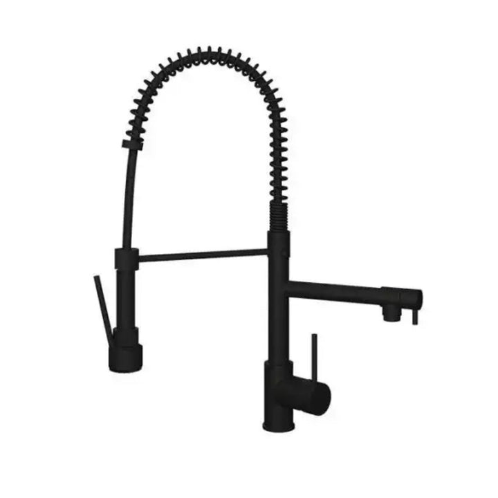 Ellsi Biella Kitchen Mixer Tap with Swivel Spout & Directional Spray
