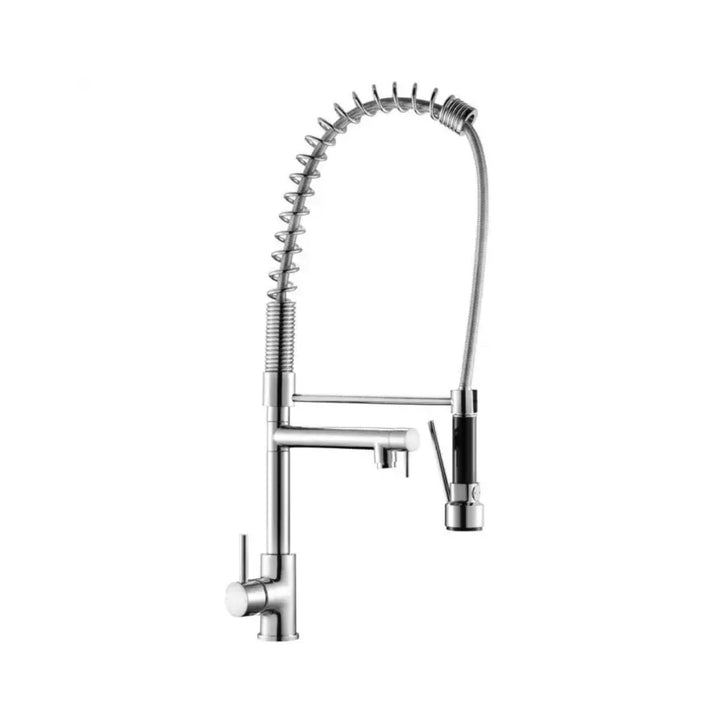 Reginox ALTUS CH One Handle Single Head Sink Flexible Hose with Black Nozzle Chrome