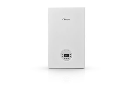 Worcester Bosch Greenstar 1000 30Kw Comb