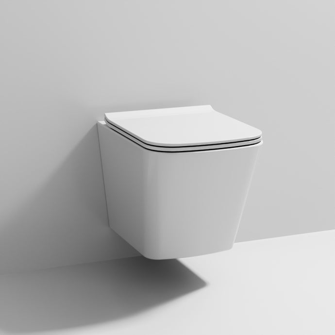Wall-mounted toilet 