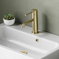 Hib - Atlas Mini Mono Mixer - Brushed Brass