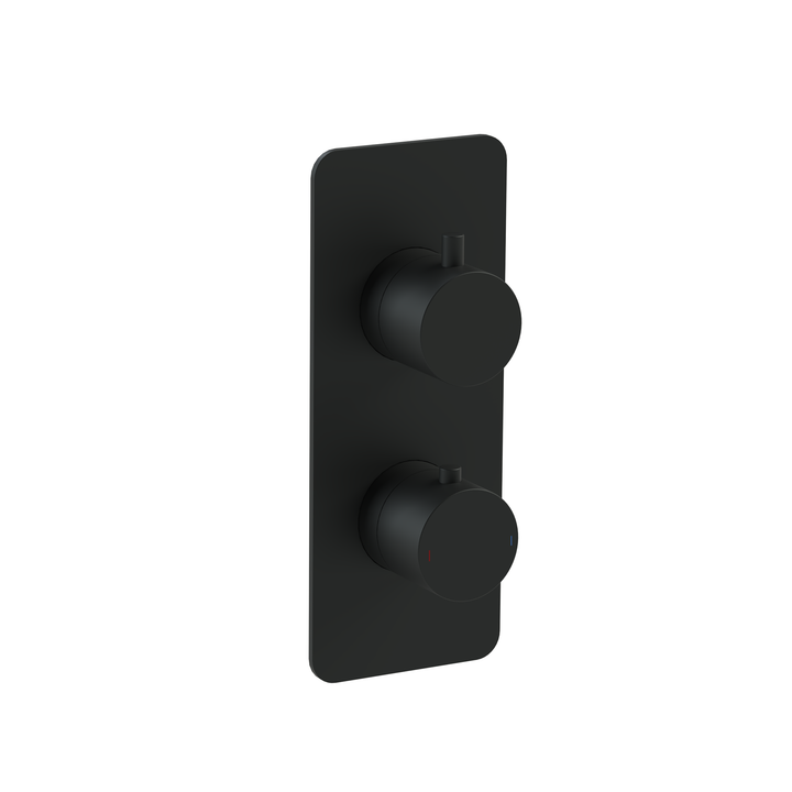 Black shower control panel with two knobs