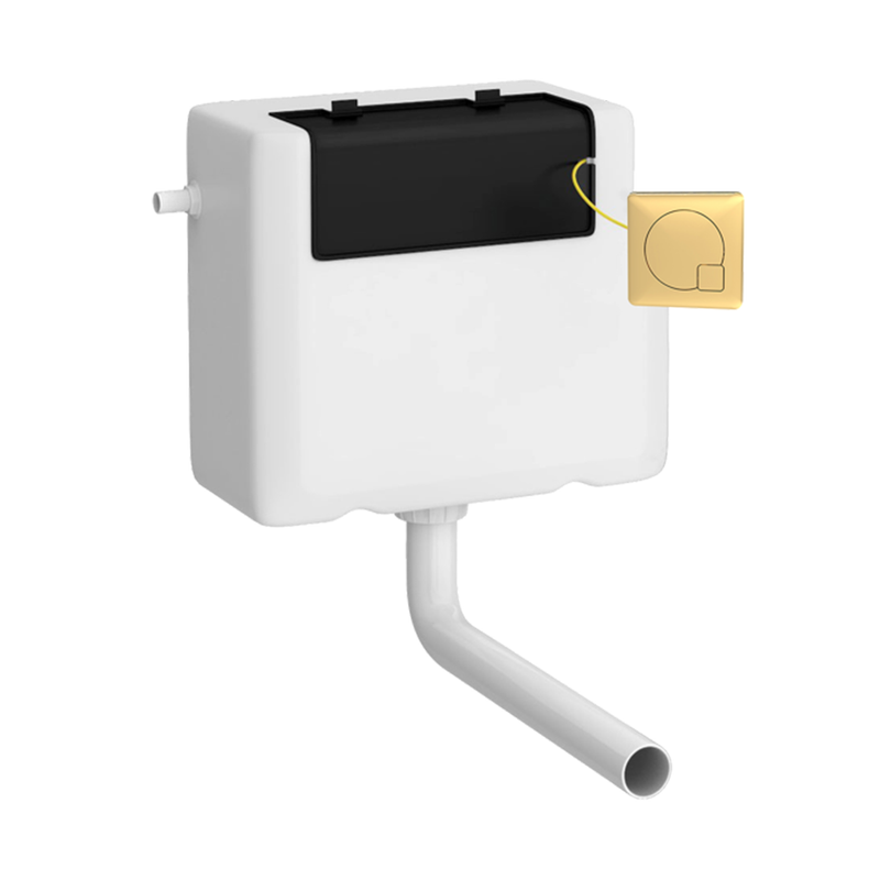 Nuie Universal Access Cistern & Square Flush Plate - Brushed Brass