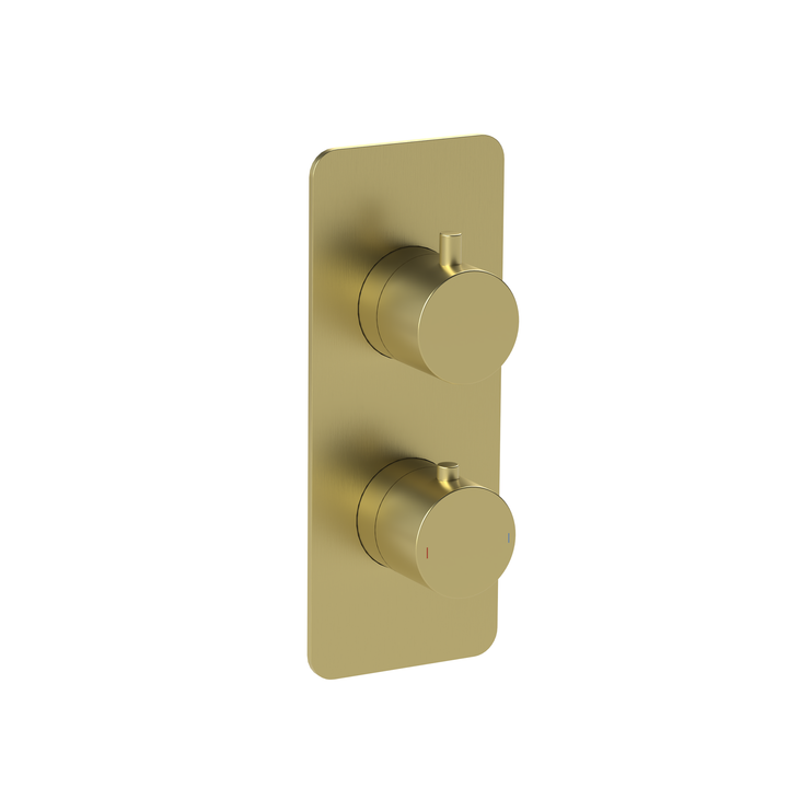 Gold shower control panel with two knobs